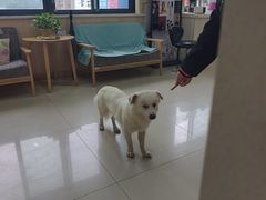 -宠颐生宠物医院·骨外科·犬猫全科诊疗中心(池州店)