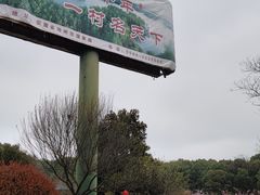 -杏花村文化旅游区