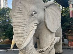 -华雅花园大酒店