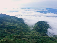 -大围山国家森林公园