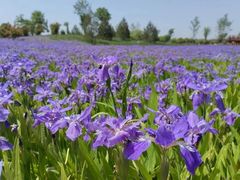 -汉长安城未央宫国家考古遗址公园