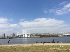 -台场海滨公园船码头
