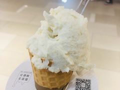 蜂蜜茉莉冰激凌-野人先生现做冰淇淋(北京环宇荟店)