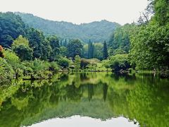 -深圳仙湖植物园