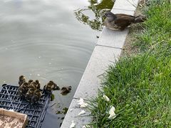 -品湘宴·湖南宁乡菜