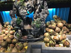 -东椰·海南椰子鸡火锅(朝阳门店)