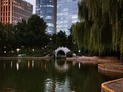 -团结湖公园