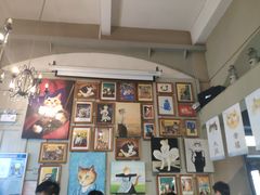 -猫咪博物馆(顶澳仔猫街店)