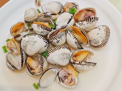 -日月昇渔家菜·海肠捞饭·大连海鲜(星海公园店)