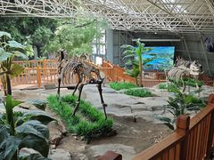 -中国第四纪冰川遗迹陈列馆