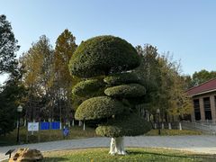 -太阳宫公园