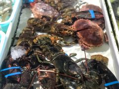 -南沙十九涌渔人码头-南门