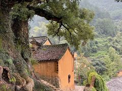 -杨家堂村