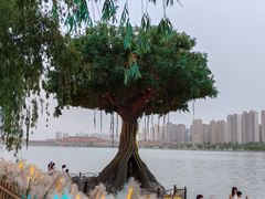 -咸阳湖景区