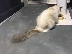 -零纪元VR体验馆·桌游(黄浦店)