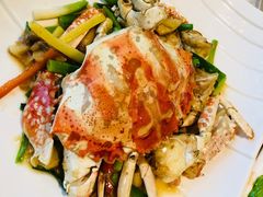 -欢乐海岸美食联盟
