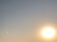 -哈素海
