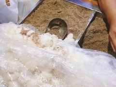 -叶氏麻糍(鼓浪屿店)