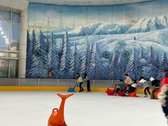 -世界之窗阿尔卑斯冰雪世界