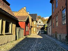 -挪威文化史博物馆