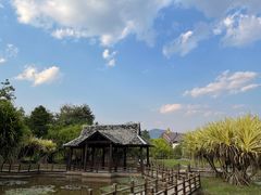 -中国科学院西双版纳热带植物园