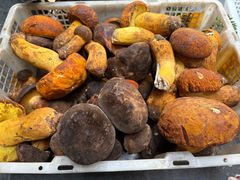 -七采菌园·野生菌石锅鱼(环城北路店)