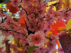 -五月花商业广场(中山五路店)