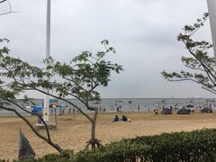 -碧海金沙