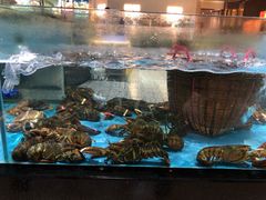 -都市阳光海鲜城(青山湖店)