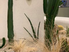 -OUR Bakery(SKP-S店)