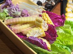 -花菇朵·云山雀 ll 野生菌火锅·精品云南菜(万柳店)