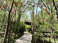 -封龙山风景区
