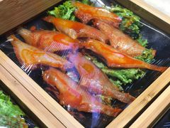 -串一火锅(赛格国际购物中心店)