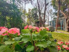 -大妙火锅·非物质文化遗产(东湖公园店)