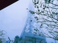 -板樟山森林公园