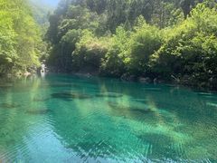 -石台牯牛降景区