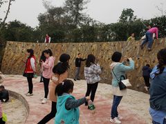 -铁山坪森林公园