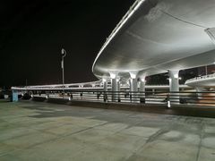 -演武大桥观景平台