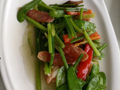 -云中小雅