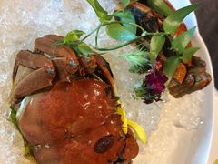 -蟹榭·本帮江浙菜·蟹宴(五角场合生汇商场店)