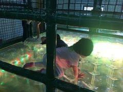 -蒙特利亲子乐园