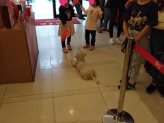 -85度C(上海周浦店)