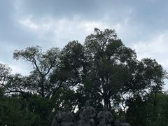 -晋祠公园