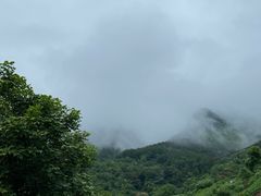 -缙云山景区