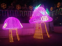 -新五爱道夜市