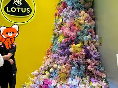 -莲花跑车(国贸商城店)