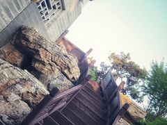 -迎泽公园