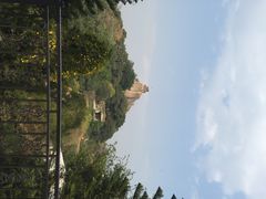 iphone_upload_pic-百鸟园