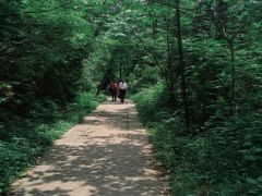-青龙山国家森林公园