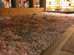 -丽池宫韩式汗蒸会馆(华灯坊店)